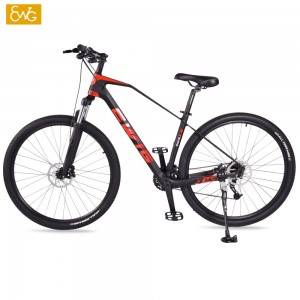 https://www.ewigbike.com/cheapest-carbon-fiber-mountain-bike-29er-carbon-fiber-frame-mtb-bicycle-39-speed-x6-ewig-product/
