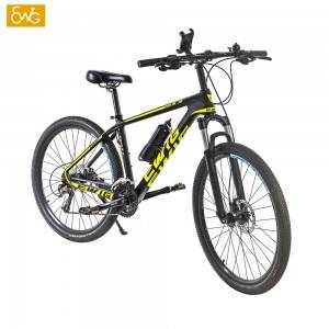 https://www.ewigbike.com/carbon-fiber-mountain-bike-carbon-fibre-frame-bicycle-mountain-bike-with-fork-suspension-x3-ewig-product/