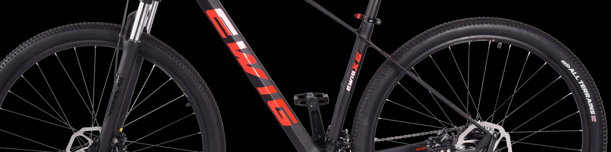 Cheapest carbon fiber mountain bike X6