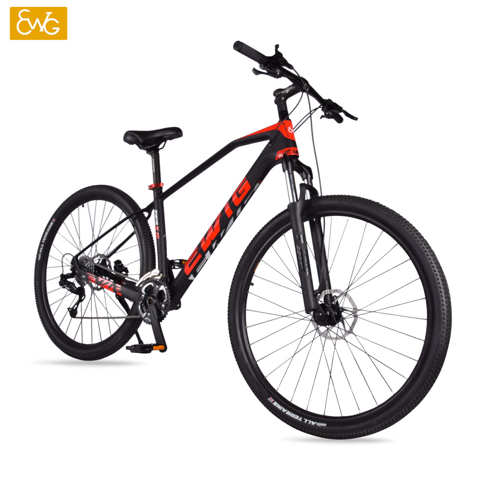 https://www.ewigbike.com/cheapest-carbon-fiber-mountain-bike-29er-carbon-fiber-frame-mtb-bicycle-39-speed-x6-ewig-product/