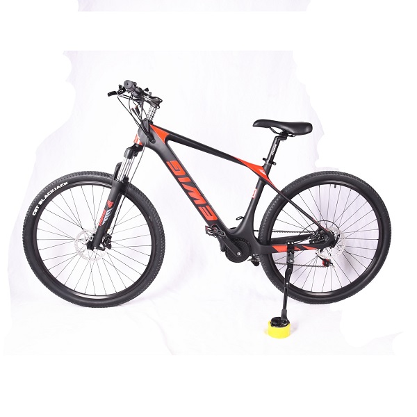 carbon fiber electric bicycle
