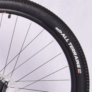 carbon mountain bike Tires