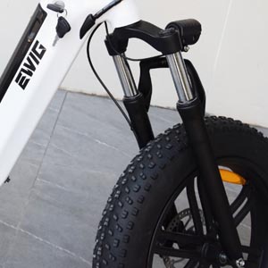 electric folding bike frame and tire